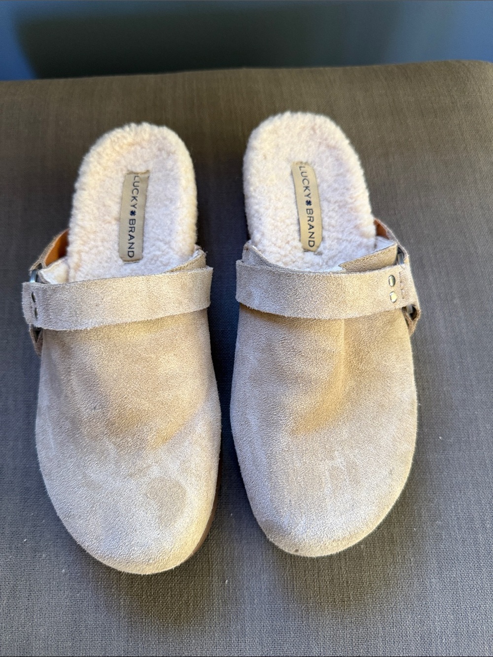 NWOB Lucky Brand Faux Sherpa Lined Suede Clogs